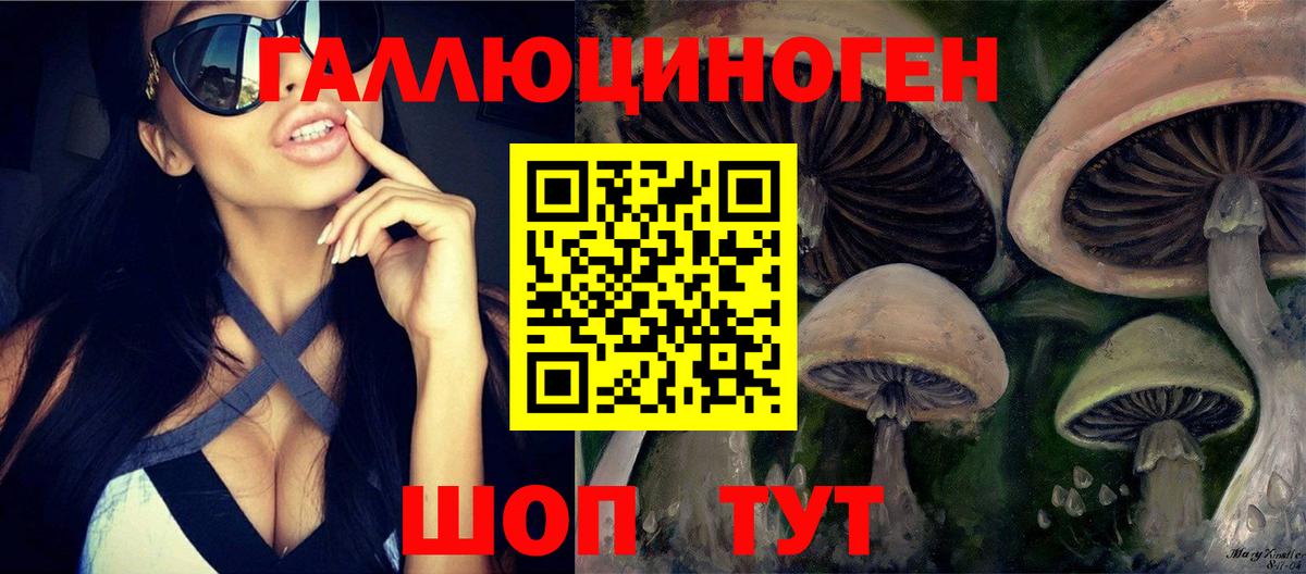 Егорьевск  Псилоцибиновые грибы ЛСД  Вход с VPN 